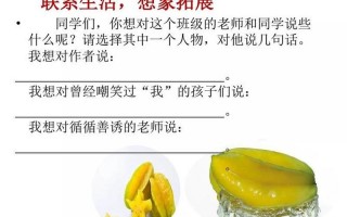 画杨桃告诉我们什么道理