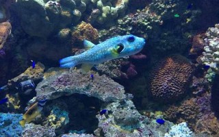 青岛极地海洋世界图片