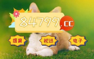 494949香港最快结果