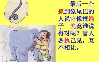 盲人摸象 打一成语