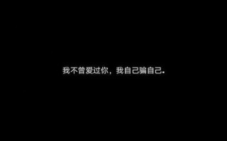 我不曾爱过你 我自己骗自己