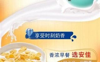 我的天使奶粉价格