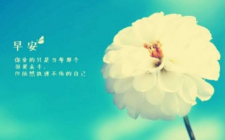 很甜很撩的早安句子有什么?春天很甜很撩的早安句子?