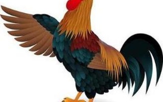 面红耳赤是什么生肖