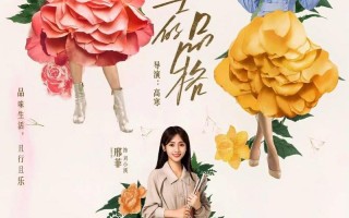 女士的品格在哪个台播出