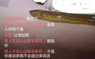 女主播黄鳝门事件