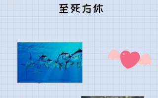至死方休是什么意思 词语至死方休什么意思(我与人间至死方休什么意思)