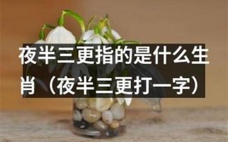 夜半三更指的是什么生肖