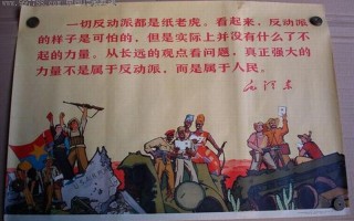 纸老虎分别指哪一类人
