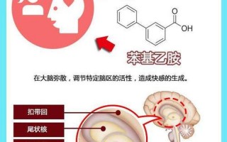 苯基乙胺是什么意思