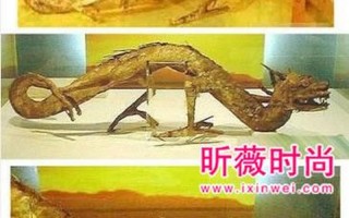 世界上最后一只龙