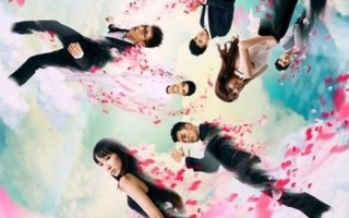 爱情电视剧有哪些