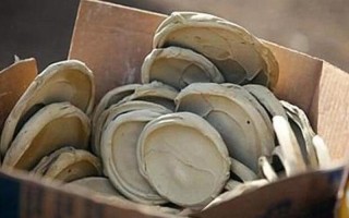 观音土是什么东西