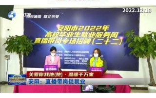 河南卫视电视台直播