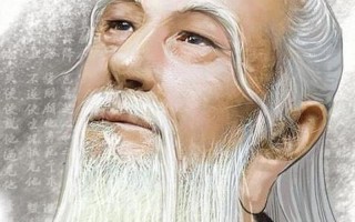 树无根不长人无志不立的意思