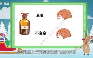 薛定谔的猫什么意思