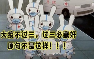 大疫不过3年什么意思