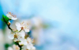 请问为什么哥斯达黎加足球队比中国足球队还要强?