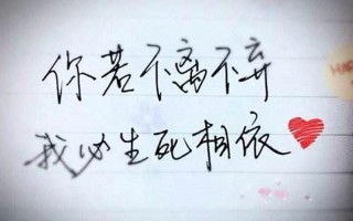 你若不离不弃我必生死相依