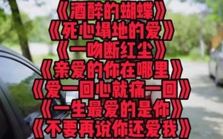 更好听的伤感歌曲