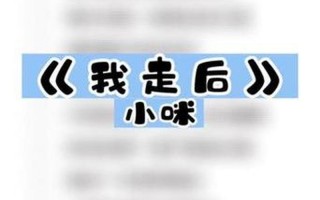 我走了你别再难过是什么歌