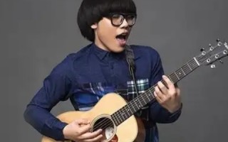 中国好声音李琦个人资料(音乐才子的成长之路)(好声音李琦选了谁?)