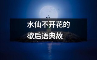 水仙不开花的歇后语