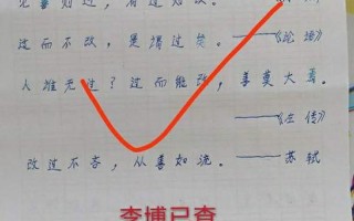 过而不改是谓过矣的意思