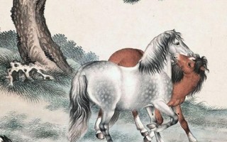 鹏程万里是什么生肖