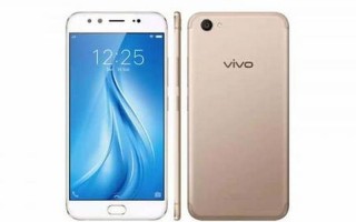 dualcamera是vivo什么手机