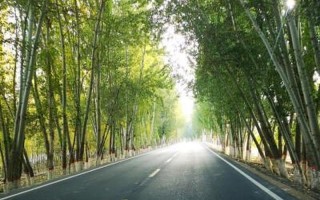 什么地方的路最窄