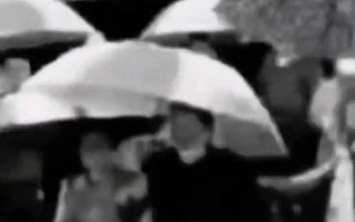 321东航坠机事件最新消息