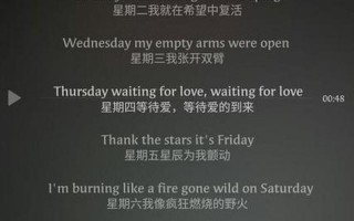wap完整版歌词翻译