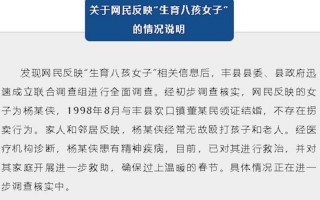 丰县生育八孩女子事件