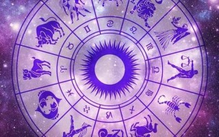 公认双商高的星座