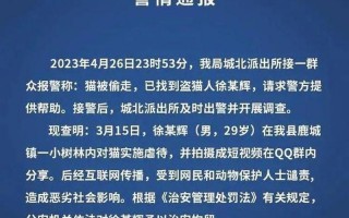 晚上偷正能量网站