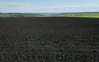 qq农场黑土地全开种什么更赚钱?qq农场黑土地,红土地都种什么更赚钱