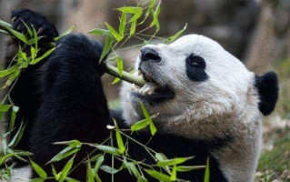 中东地区是哪啊?为什么这么叫啊?中东地区已什么命名的,为什么叫中东地区