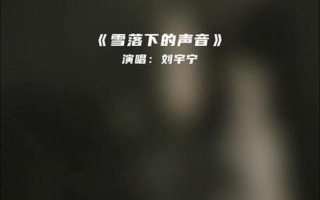 我慢慢的听雪落下的声音
