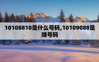 10109088是什么 *** 