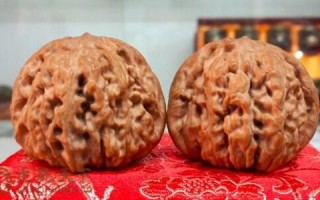 什么叫四座楼狮子头。(如何挑选四座楼狮子头?)
