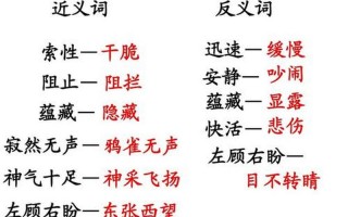 previous的反义词