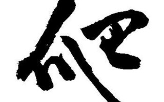 爬是什么结构的字