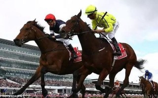 墨尔本赛马节上的狂欢