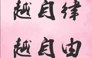 我给你自由我给你自由