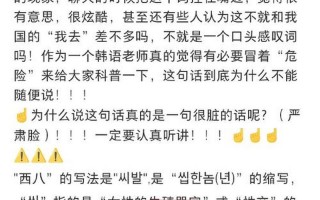 西八韩语是什么意思