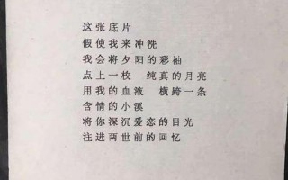 贾浅浅的尿体诗《雪天》