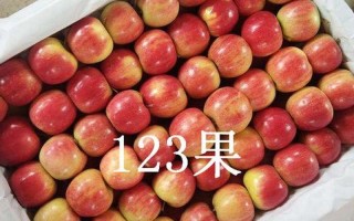 吉林快三结果果