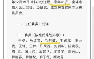 中植系背后的靠山