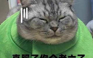 你这个老六是什么意思 *** 用语